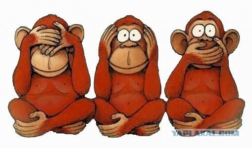 Жарче и острее дебатов вы точно не видели