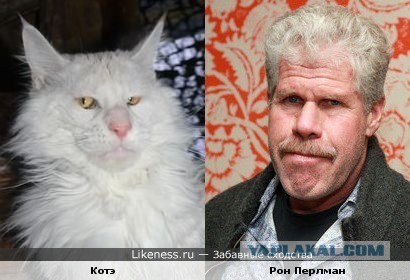20 актеров, идеально перевоплотившихся