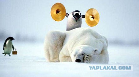 20 фотофальсификаций, которые облетели весь мир