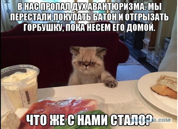 Что с нами стало?