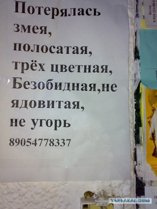 Объявление у подъезда