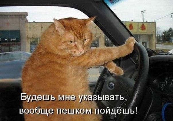 Улыбнуло часть "2"