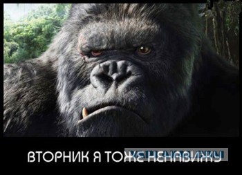 Смешное из сети #2