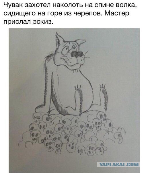 Картинки из интернетов