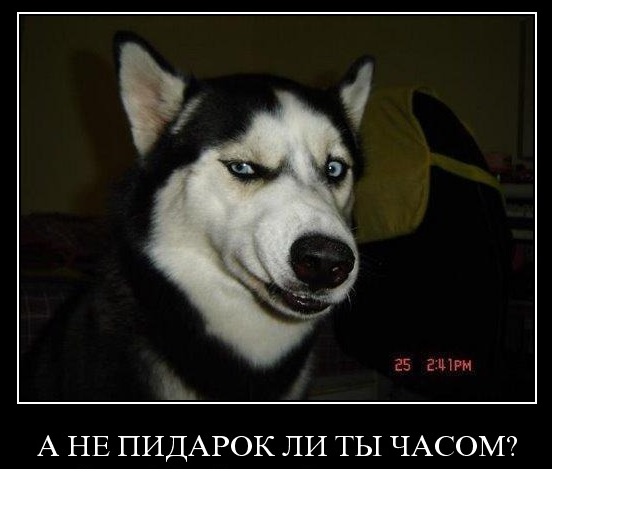 Погода плохая, но мы все-равно вваливаем...