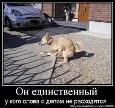 Ответ на тему ЯП не вдул.
