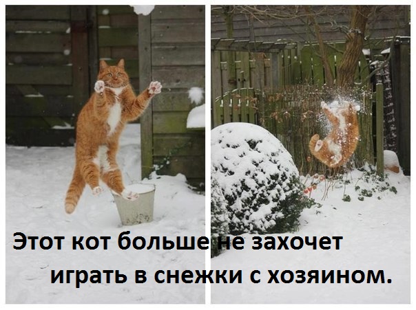 Зима - кошарки торжествуют!
