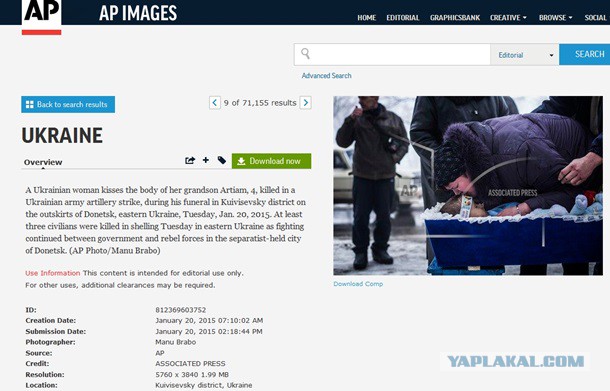 Перемирие кончилось, едва начавшись.