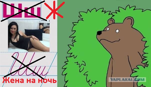 Исламский дом терпимости — как это работает