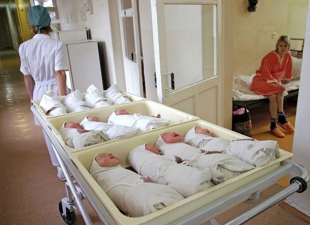 Забавные картинки из Сети