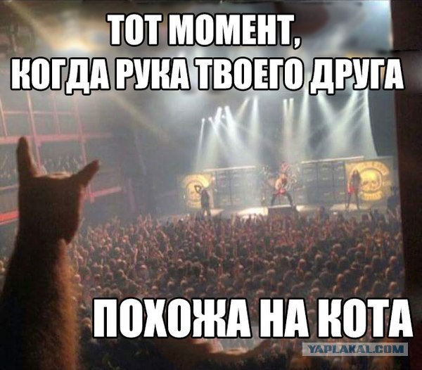 Смешные комментарии 02.08.2015
