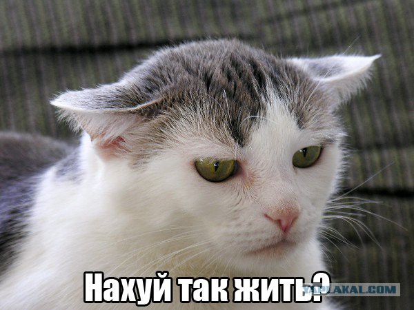 Косплей Йаааазя!