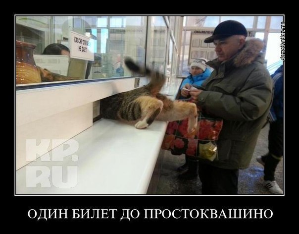 Прикольные картинки