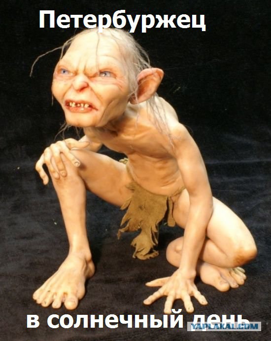 40 фактов о климате России, которые вы не знали