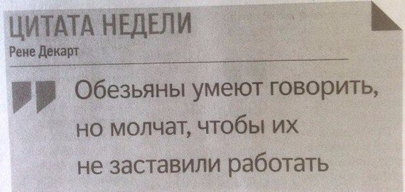 Орангутан запилил себе гамак