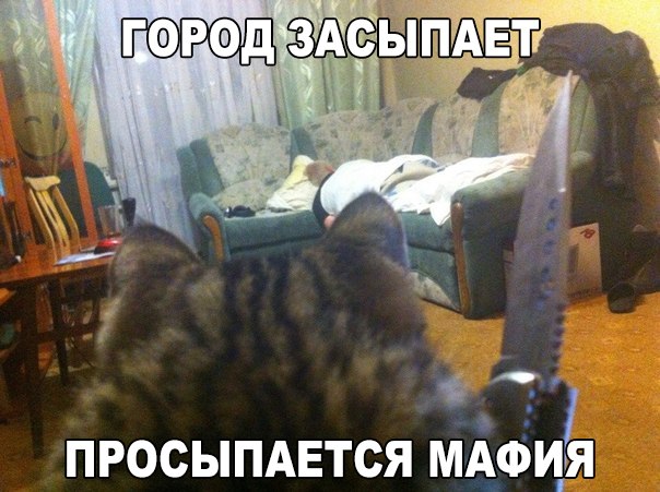 Отовсюду понемногу