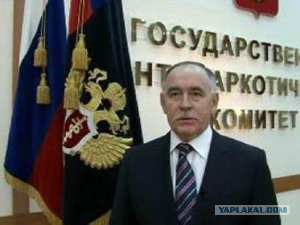 Импортозамещение головного мозга. Клубника.