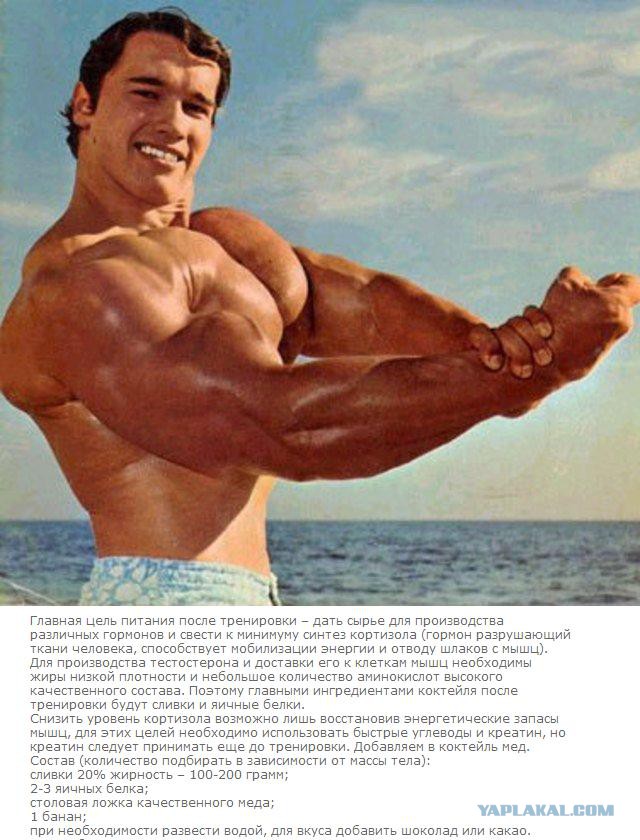 Продукты для роста мышц