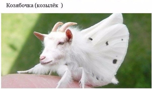 Подборка интересных и веселых картинок