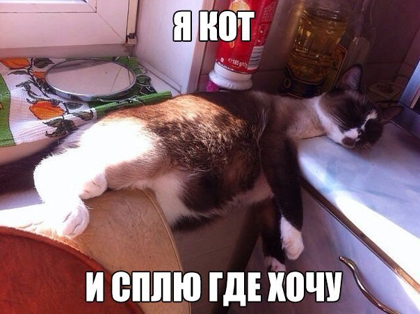 Божьи твари