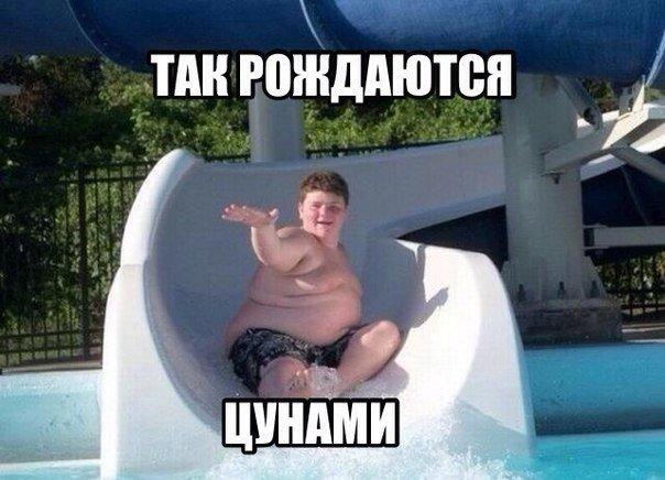 Подборка интересных и веселых фото