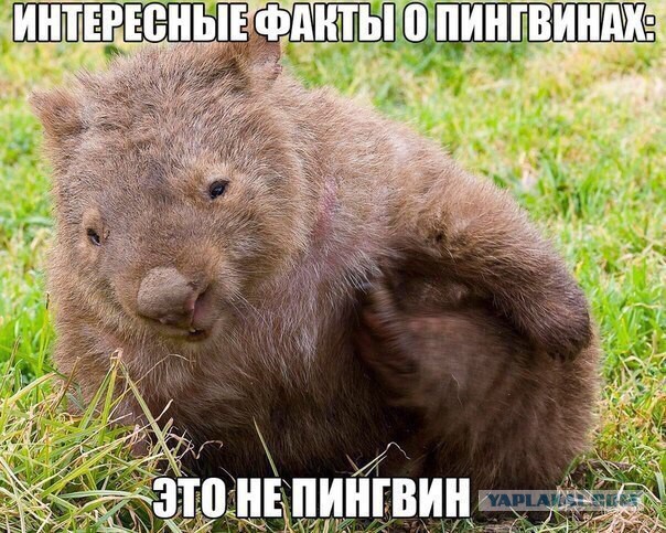 Нестандартные ответы..