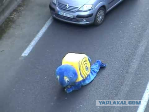 Откуда берутся пробки на дорогах