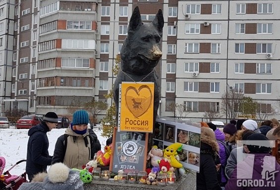 Питер против насилия