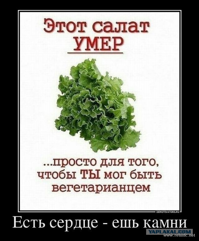 Отказалась употреблять рвоту пчел