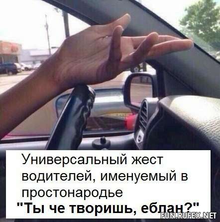 Онижеродители