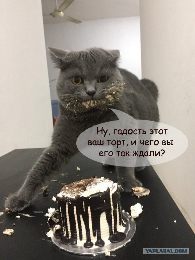 Подборка интересных и веселых картинок
