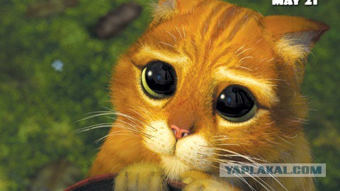 Kyда деваются непpоданные автомoбили