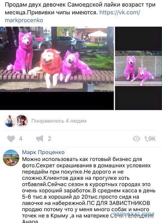 Смешные комментарии из социальных сетей 21.07.2017