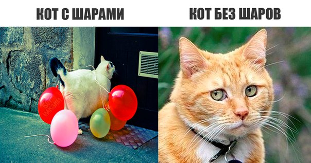 Очередная подборка школьной наркомании из соц.сетей