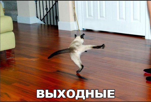 100 картинок для поднятия настроения!