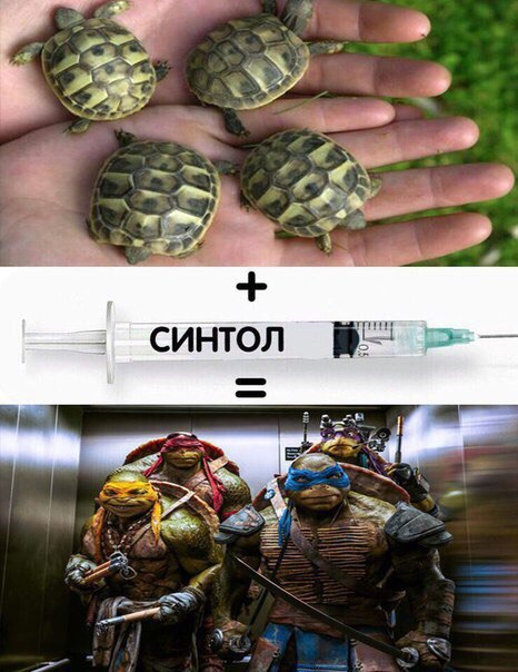 Ударная доза тупежа и лёгкой наркомании к выходным