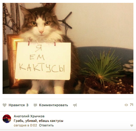 Смешные комментарии из социальных сетей 17.11.2017