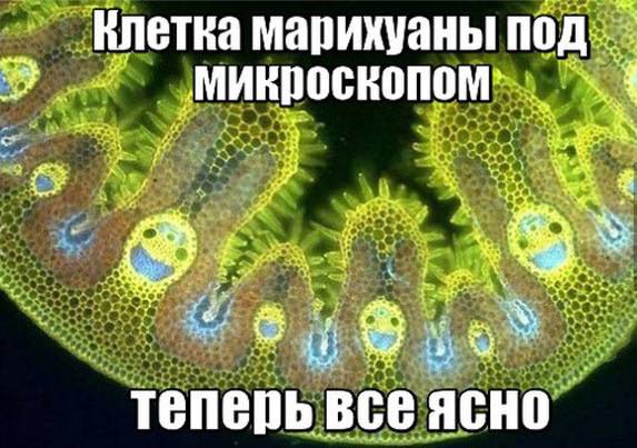 Немножко медицинского юмора к выходным