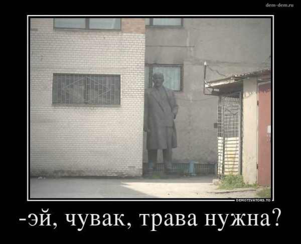 Изгнание бандеровской сволочи из Киева