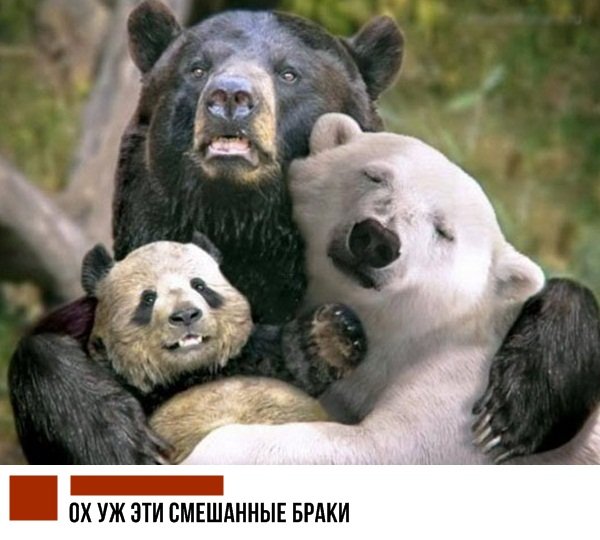 Прикольные картинки.
