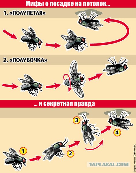 К взлёту готов