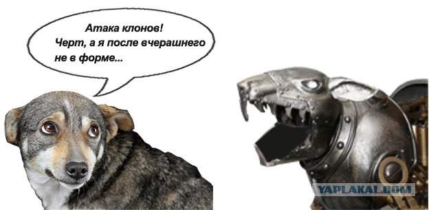 Собака - виновака