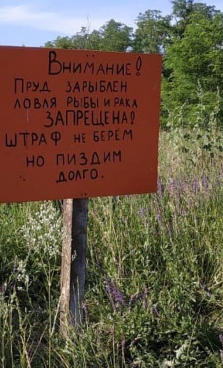 Немного картинок на вечер 21.07.2019