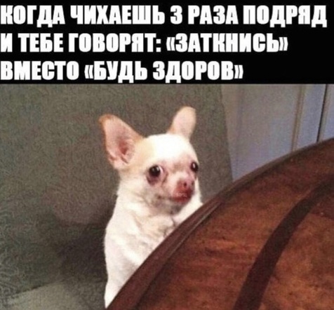 Забавные шутки, картинки и фразы из этих ваших интернетов