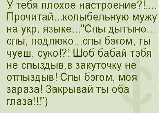 Немного картинок для настроения 11.12.19
