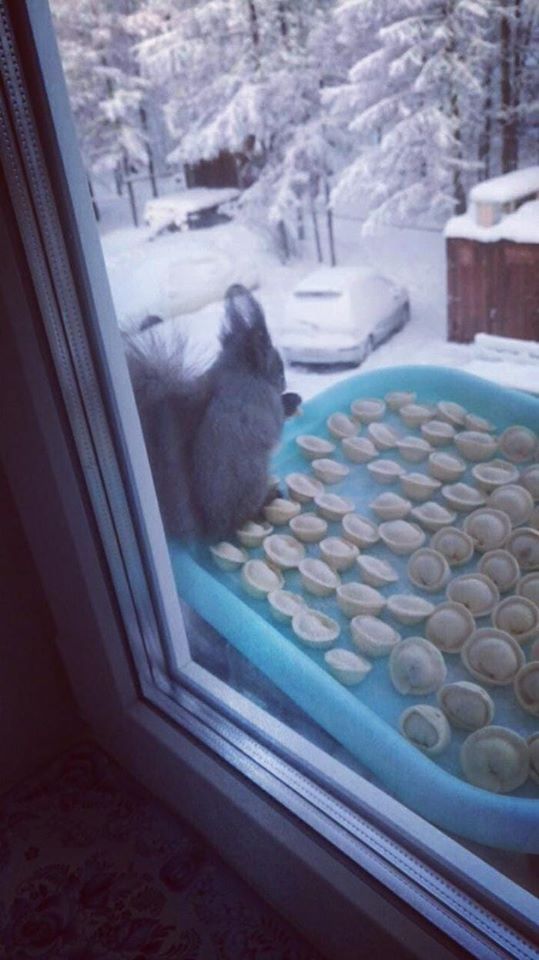 Бредзона 10.01.2020