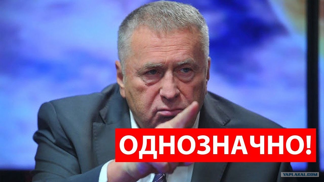 Жириновский подонки
