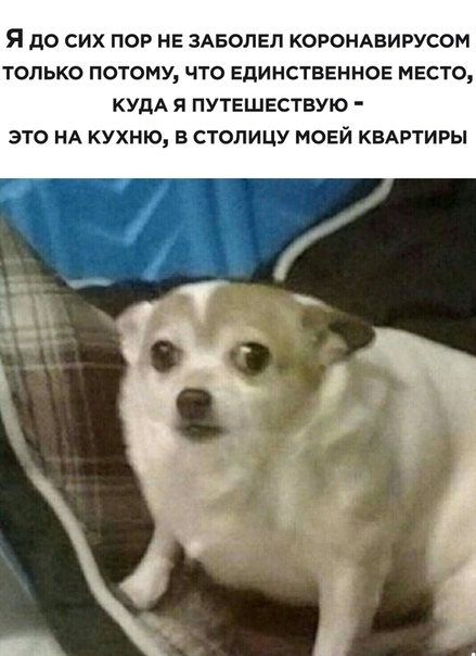 Алкоты, пост!