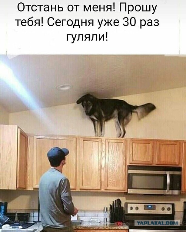 Пандемия. Коронавирус. Россия и мир. Последняя информация. Часть 12