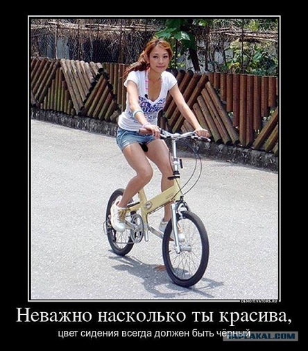 Немного слегка пошлых картинок с надписями 16+ (10.06)